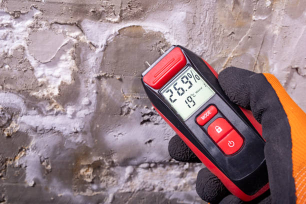 Professional Mold Removal in Mystic, CT